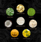 Shampoo Hair Bar Citrus Yao™ Citrus Scented