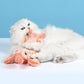 Flobster™ Interactive Cat Toy