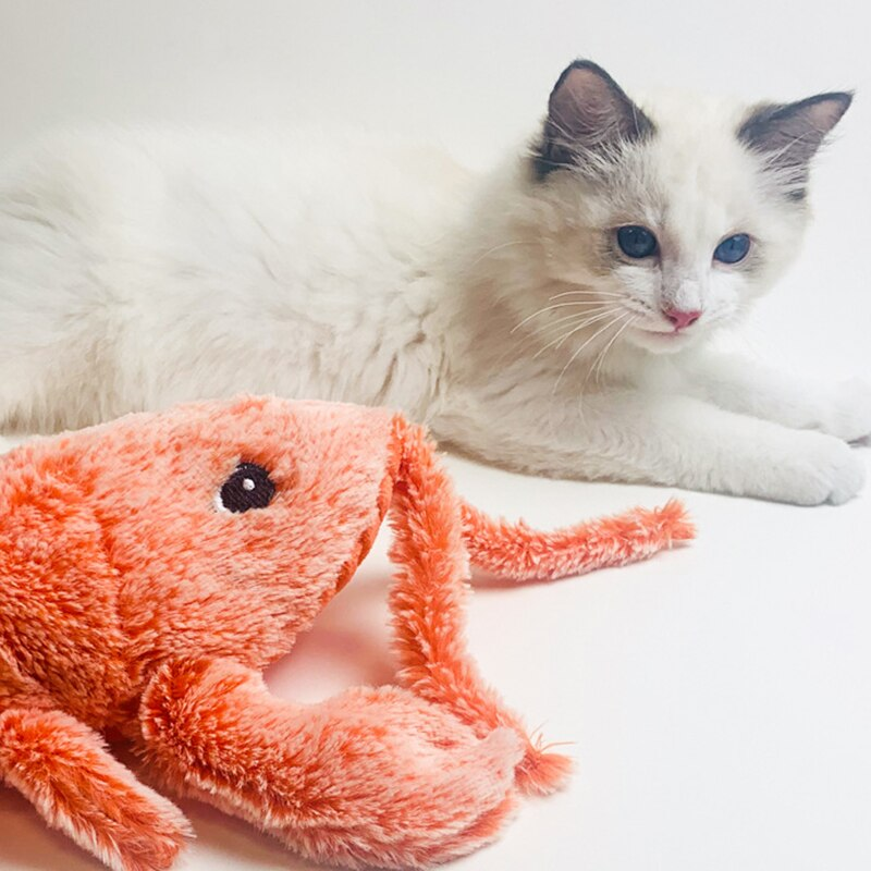 Flobster™ Interactive Cat Toy