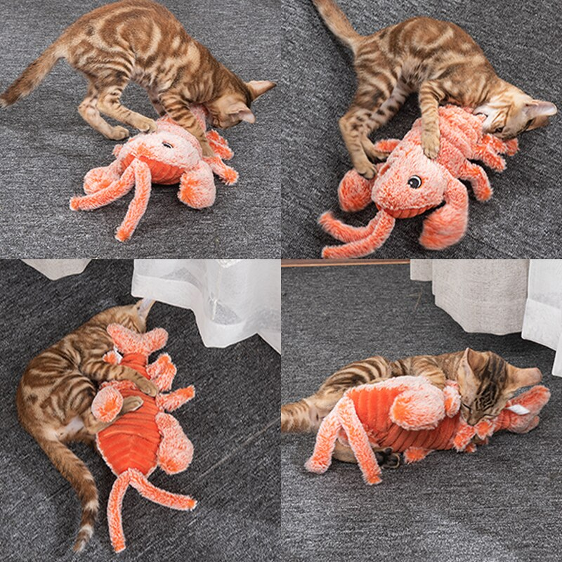 Flobster™ Interactive Cat Toy