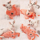 Flobster™ Interactive Cat Toy