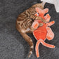 Flobster™ Interactive Cat Toy