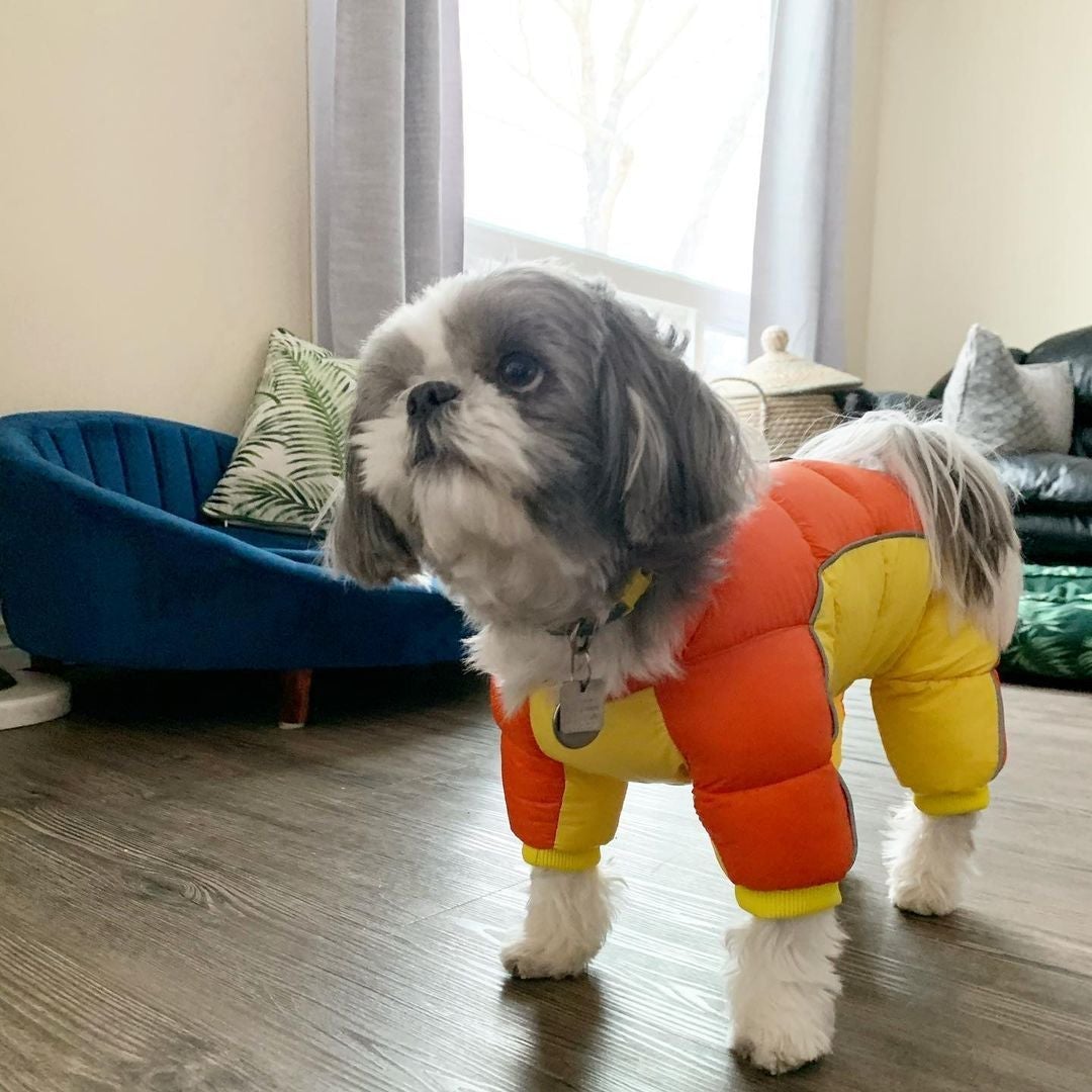 Dog Winter Jumpsuit